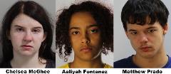 McGhee Fontanez and Prado mugshots